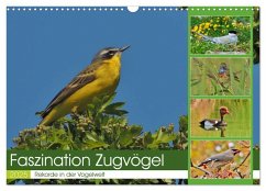 Faszination Zugvögel - Rekorde in der Vogelwelt (Wandkalender 2025 DIN A3 quer), CALVENDO Monatskalender - Calvendo;Schaack, René