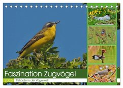 Faszination Zugvögel - Rekorde in der Vogelwelt (Tischkalender 2025 DIN A5 quer), CALVENDO Monatskalender
