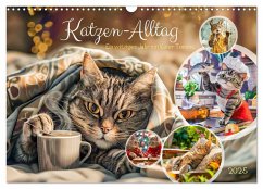 Katzen-Alltag - Ein witziges Jahr mit Kater Tommy (Wandkalender 2025 DIN A3 quer), CALVENDO Monatskalender