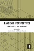 Pandemic Perspectives (eBook, ePUB)