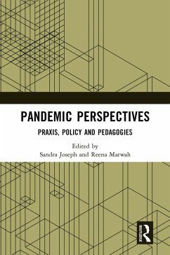 Pandemic Perspectives (eBook, PDF)