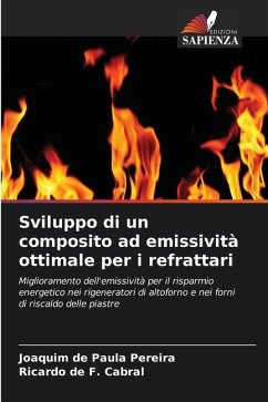 Sviluppo di un composito ad emissività ottimale per i refrattari - de Paula Pereira, Joaquim;de F. Cabral, Ricardo