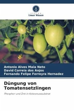 Düngung von Tomatensetzlingen - Alves Maia Neto, Antonio;Correia dos Anjos, David;Felipe Ferreyra Hernadez, Fernando