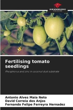 Fertilising tomato seedlings - Alves Maia Neto, Antonio;Correia dos Anjos, David;Felipe Ferreyra Hernadez, Fernando