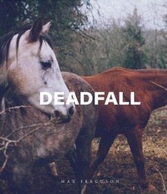 Cover Deadfall