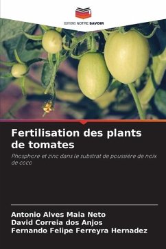 Fertilisation des plants de tomates - Alves Maia Neto, Antonio;Correia dos Anjos, David;Felipe Ferreyra Hernadez, Fernando
