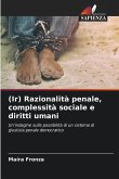 (Ir) Razionalità penale, complessità sociale e diritti umani