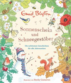 Sonnenschein und Schneegestöber - Die schönsten Geschichten für alle Jahreszeiten  - Blyton, Enid