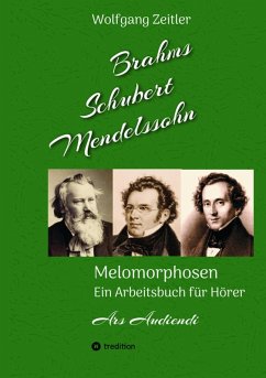 Brahms, Schubert, Mendelssohn: Melomorphosen - Früchte der Musikmeditation, sichtbar gemachte Informationsmatrix ausgewählter Musikstücke, Gestaltwerkzeuge für Musikhörer; ohne Verwendung von Noten (eBook, ePUB) Cover Brahms, Schubert, Mendelssohn: Melomorphosen - Früchte der Musikmeditation, sichtbar gemachte Informationsmatrix ausgewählter Musikstücke, Gestaltwerkzeuge für Musikhörer; ohne Verwendung von Noten (eBook, ePUB)