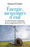Energie, mensonges d'état (eBook, ePUB) Energie, mensonges d'état (eBook, ePUB)