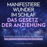 Manifestiere Wunder im Schlaf: Das Gesetz der Anziehung (MP3-Download)