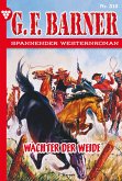 Wächter der Weide (eBook, ePUB)