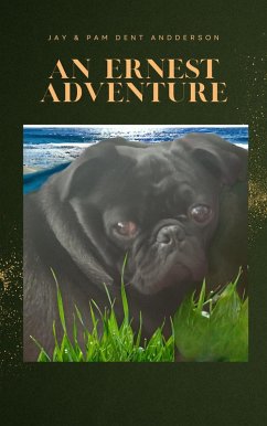 Cover An Ernest Adventure (eBook, ePUB)