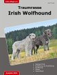 Traumrasse Irish Wolfhound - Bild 1