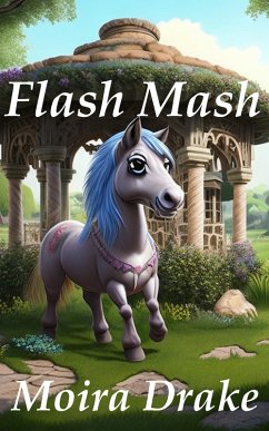 Cover Flash Mash (eBook, ePUB)