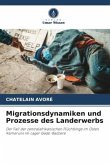 Migrationsdynamiken und Prozesse des Landerwerbs