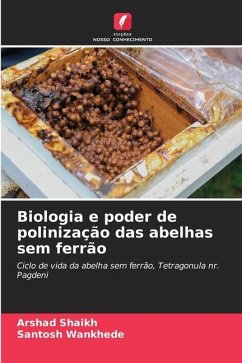 Biologia e poder de polinização das abelhas sem ferrão - Shaikh, Arshad;Wankhede, Santosh