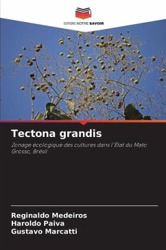 Tectona grandis - Medeiros, Reginaldo;Paiva, Haroldo;Marcatti, Gustavo