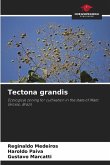 Tectona grandis