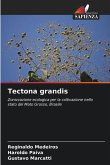 Tectona grandis