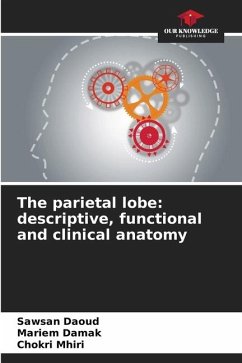 The parietal lobe: descriptive, functional and clinical anatomy - Daoud, Sawsan;Damak, Mariem;Mhiri, Chokri