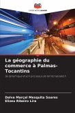 La géographie du commerce à Palmas-Tocantins