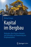 Kapital im Bergbau (eBook, PDF)