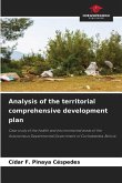 Analysis of the territorial comprehensive development plan