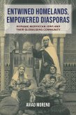 Entwined Homelands, Empowered Diasporas (eBook, ePUB)