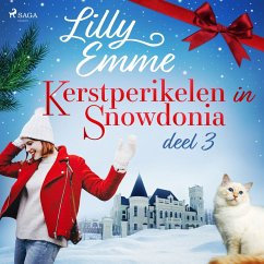 Kerstperikelen in Snowdonia – deel 3 (MP3-Download) - Emme, Lilly