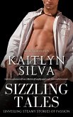 Sizzling Tales (eBook, ePUB)