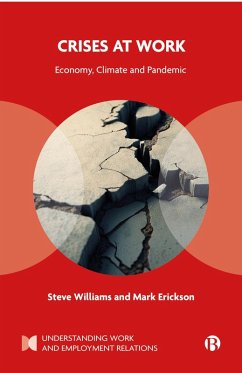 Cover Crises at Work (eBook, ePUB)