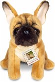Teddy Hermann 919872 - Französische Bulldogge, Lieblingshunde-Plüschtier, 27 cm