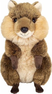 Cover Teddy Hermann 923251 - Quokka, 24cm, Plüschtier mit Tier-Infos, Sonderkollektion: Teddy Hermann erklärt...