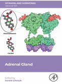 Adrenal Gland (eBook, ePUB)