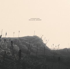 Cover Goliath Awakes