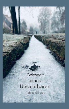 Zwiespalt eines Unsichtbaren (eBook, ePUB) - Geibies, Tobias