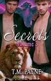 Secrets: Volume Three (eBook, ePUB)