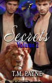 Secrets: Volume Two (eBook, ePUB)