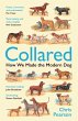 Collared (eBook, ePUB) - Bild 1