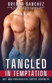 Tangled In Temptation (eBook, ePUB)