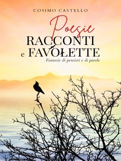 Poesie-Racconti E Favolette-Fantasie Di Pensieri E Di Parole (eBook, ePUB) - Castello, Cosimo