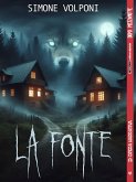 La Fonte (eBook, ePUB)