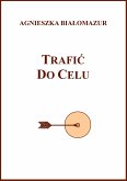 Trafić do celu (eBook, ePUB)