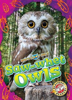 Saw-Whet Owls - Barnes, Rachael