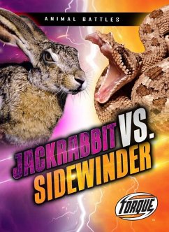 Jackrabbit vs. Sidewinder - Sommer, Nathan