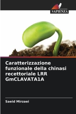 Caratterizzazione funzionale della chinasi recettoriale LRR GmCLAVATA1A - Mirzaei, Saeid