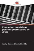 Formation numérique pour les professeurs de droit