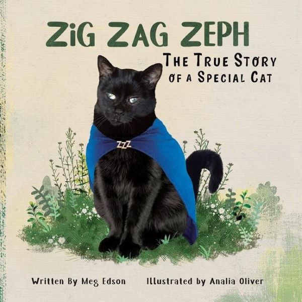 Zig Zag Zeph Zig Zag Zeph