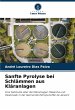 Sanfte Pyrolyse bei Schlämmen aus... - Bild 1